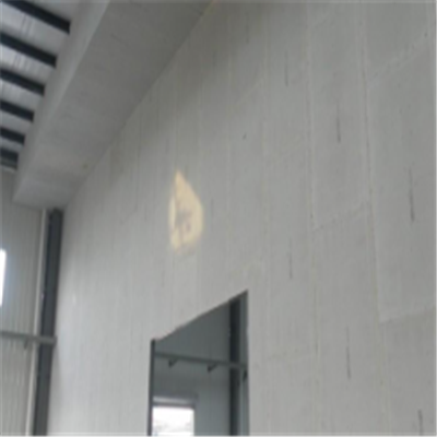 绥阳宁波ALC板|EPS加气板隔墙与混凝土整浇联接的实验研讨